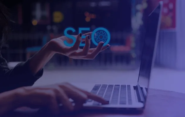 agencia seo marbella img